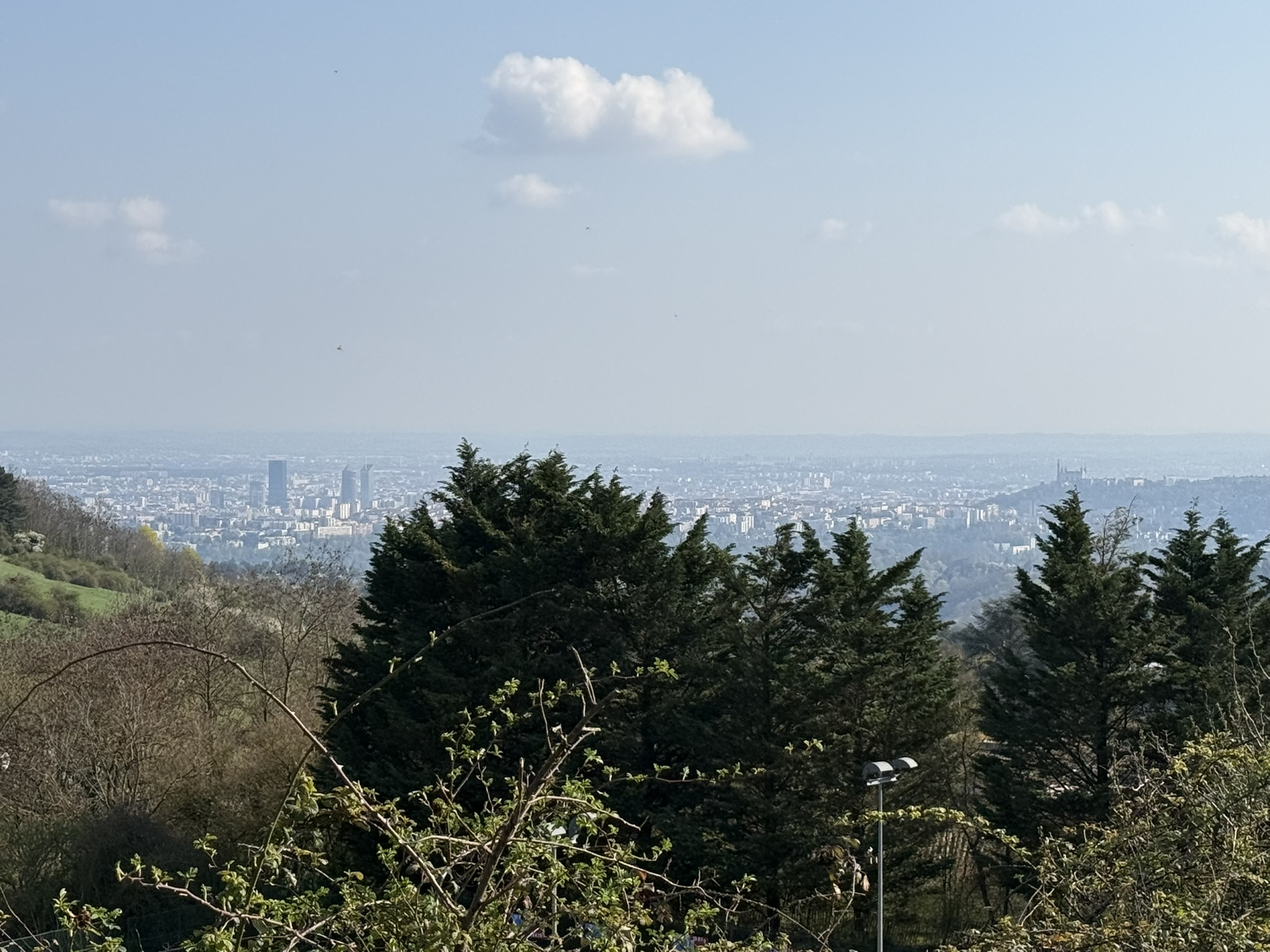 Saint-Didier-au-Mont-d'Or 7