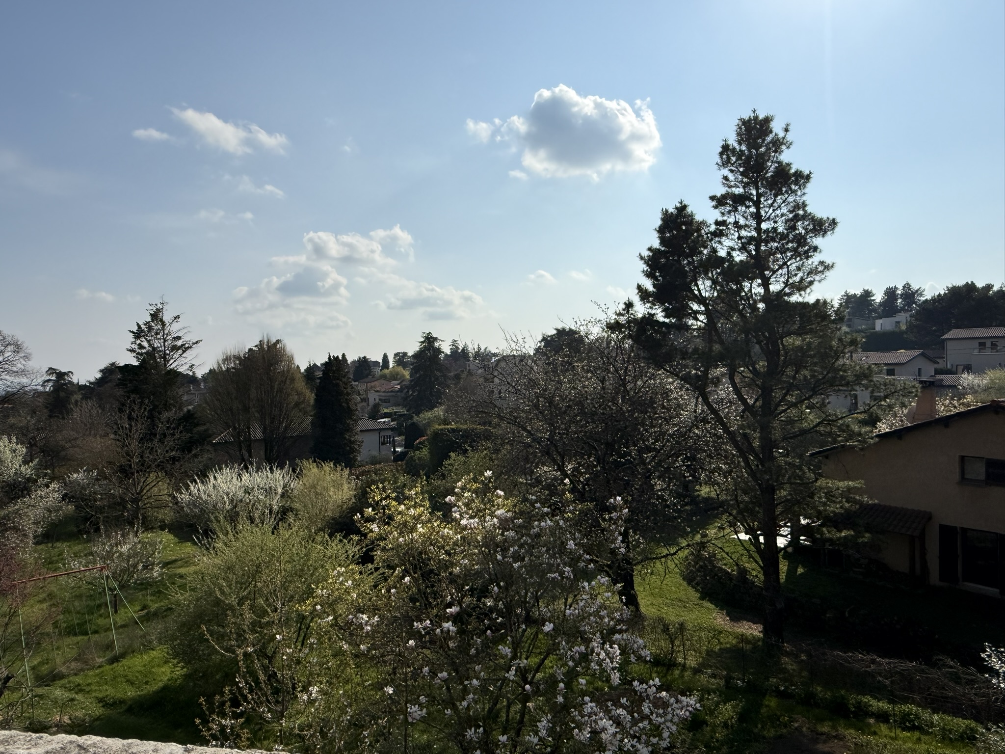 Saint-Didier-au-Mont-d'Or 8