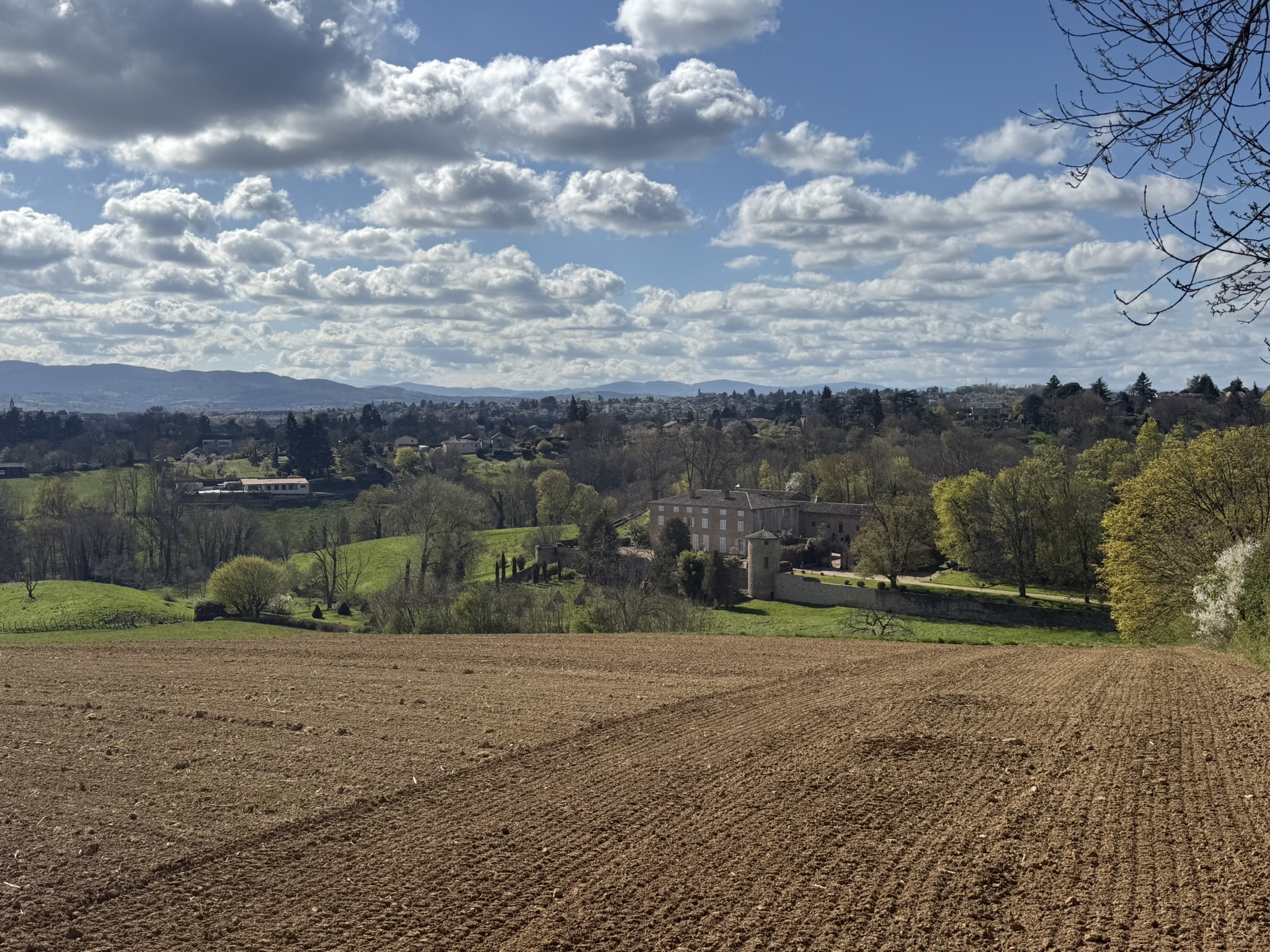 Saint-Didier-au-Mont-d'Or 10