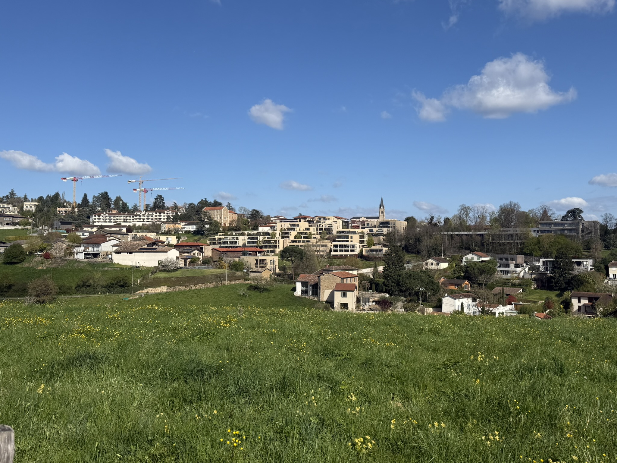 Saint-Didier-au-Mont-d'Or 11